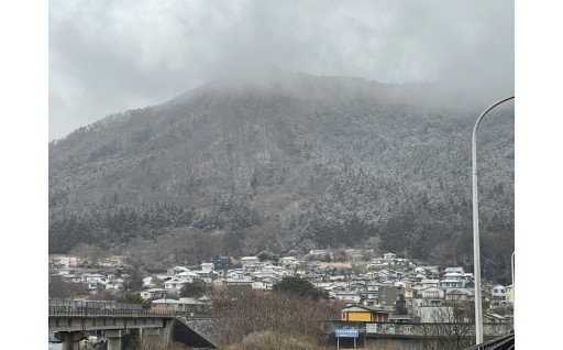 待望の雨が降っています