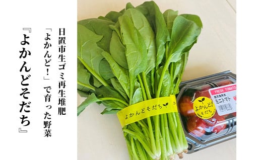 【令和５年度】生ごみ回収事業（塵芥処理事業費）